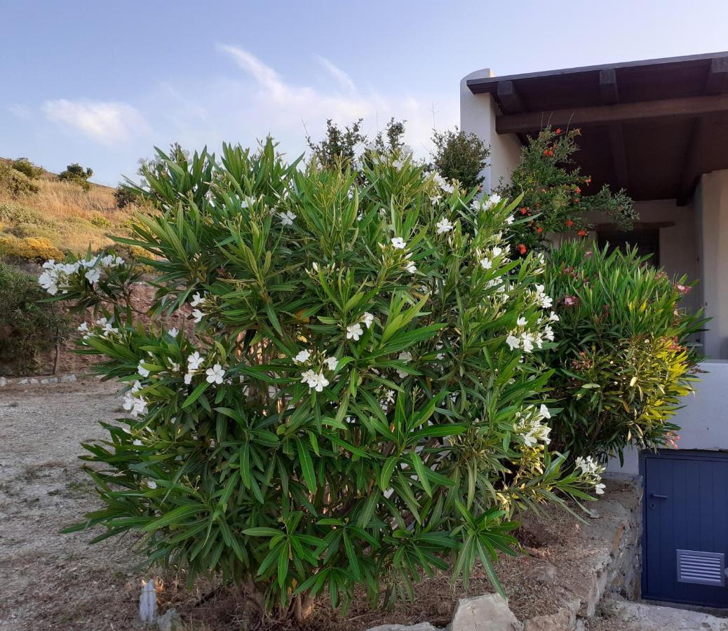 Katoikia Spathi Spathi  Εξωτερικό φωτογραφία