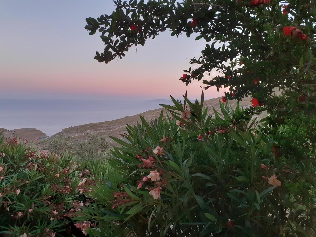 Katoikia Spathi Spathi  Εξωτερικό φωτογραφία