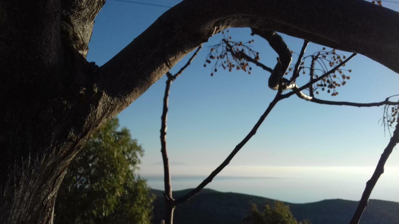 Katoikia Spathi Spathi  Εξωτερικό φωτογραφία